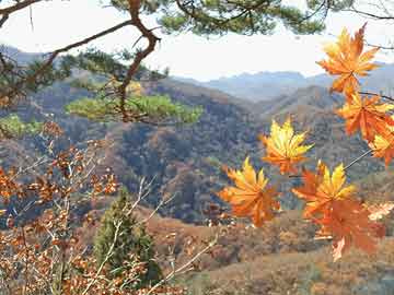 韶山自由行旅游攻略:韶山自由行旅游攻略一日游?